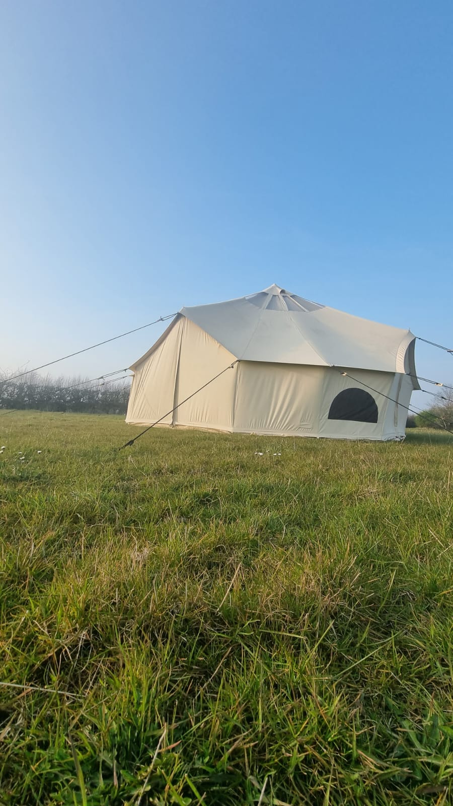 BTV 6 Skylight - 6m (Half PVC Light Roof) XL (1.2m High Walls) Water Resistant Cotton Canvas Bell Tent with Stove Hole